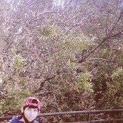  ,   , 31 ,   ,   