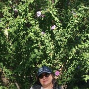 ���������� ���������, ���� ������� �����, 55 ���, ������������ ��� c�������� ���������