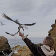 ���������� ������, ���� ������� ������, 25 ���, ������������ ��� ������, ����� � ���������