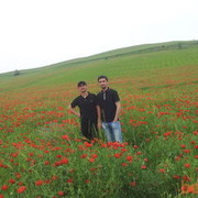 ���������� �������, ���� ������� McFann, 35 ���, ������������ ��� ������, ����� � ���������, c�������� ���������