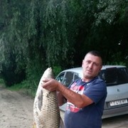  ,   ˸, 50 ,  
