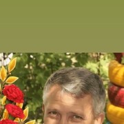  ,   , 55 ,  