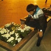 ���������� ������, ���� ������� ������, 34 ����, ������������ ��� ������