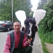 ���������� ����������, ������� �������, 52