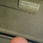  ,   , 46 ,   ,   