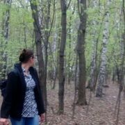 ���������� ������, ���� ������� �����, 41 ���, ������������ ��� c�������� ���������