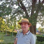  -,   , 61 ,   ,   