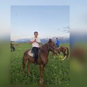  ,   , 28 ,   ,   , c , 