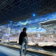 ���������� ������, ���� ������� ������, 21 ���, ������������ ��� ������, ����� � ���������, ���������