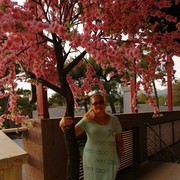  ,   , 55 ,   ,   , c 