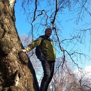 ���������� �������, ���� ������� ������, 44 ����, ������������ ��� ������, ����� � ���������