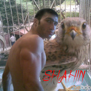 ���������� ����, ���� ������� Sahin, 36 ���, ������������ ��� ����� � ���������, c�������� ���������, ���������