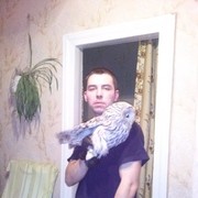 ���������� ������������, ���� ������� ����, 36 ���, ������������ ��� ������, ����� � ���������, c�������� ���������