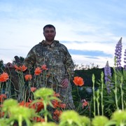 ���������� ������-�������, ������� �������, 49