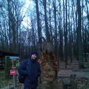 ���������� �������, ���� ������� �����, 38 ���, ������������ ��� ����� � ���������, c�������� ���������