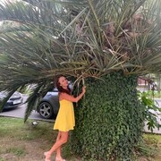 ���������� ������������, ���� ������� �����, 44 ����, ������������ ��� ������, ����� � ���������, c�������� ���������