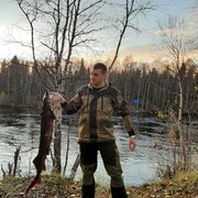 �� �������