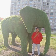  ,   , 44 ,   ,   , c , 