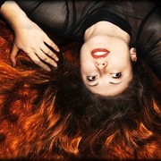 ���������� �����, ���� ������� ��������, 43 ����, ������������ 