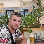  ,   Slavic, 31 ,   ,   