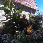  ,   , 67 ,  