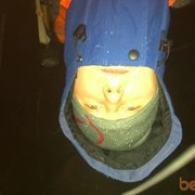 ���������� ������������, ���� ������� Max, 38 ���, ������������ ��� ������