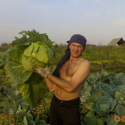  ,  kotik, 53
