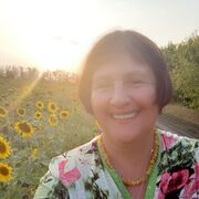  Homberg,   , 56 ,   ,   