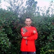  ,   , 48 ,   c 