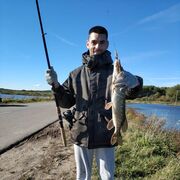 ���������� ������, ���� ������� �����, 33 ����, ������������ ��� ������, ����� � ���������