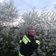   ,  Kis, 51