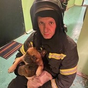 ���������� �����-���������, ���� ������� ���������, 33 ����, ������������ ��� ������, ����� � ���������, c�������� ���������, ���������