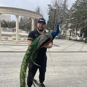 ���������� �������������-����������, ���� ������� ��������, 35 ���, ������������ ��� ����� � ���������, c�������� ���������