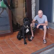 ���������� �������, ���� ������� �����, 55 ���, ������������ ��� ������, ����� � ���������