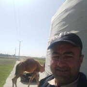  ,  Odil, 38