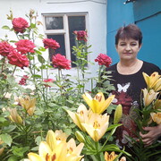  ,   , 67 ,   ,   , c 