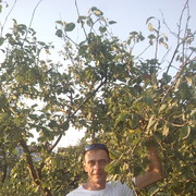 ���������� �����������, ���� ������� ������, 52 ����, ������������ ��� ������, ����� � ���������, c�������� ���������