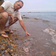  ,   Black, 37 ,   