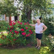 ���������� ���������, ���� ������� �������, 53 ����, ������������ ��� ������, ����� � ���������, c�������� ���������