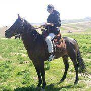 ���������� ������, ���� ������� Ali, 31 ���, ������������ ��� ������, ����� � ���������