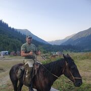 ���������� ������, ���� ������� �������, 44 ����, ������������ ��� ������, ����� � ���������, c�������� ���������, ���������