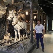 ���������� �����, ���� ������� �����, 36 ���, ������������ ��� ������, ����� � ���������, c�������� ���������, ���������