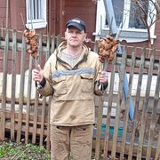 ,   Vova, 48 ,   ,   