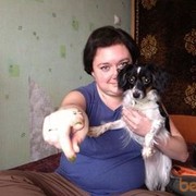 ���������� ������, ���� ������� �����, 44 ����, ������������ 