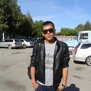  -,  dastik, 33