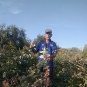  ,   , 51 ,   c 