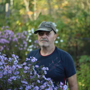   ,   , 71 ,   c 