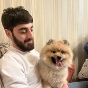 ���������� ������, ���� ������� Gor, 29 ���, ������������ ��� ������, ����� � ���������