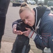  -,   , 43 ,   ,   , c 