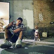 ���������� ����, ���� ������� ������, 38 ���, ������������ ��� ������, ����� � ���������